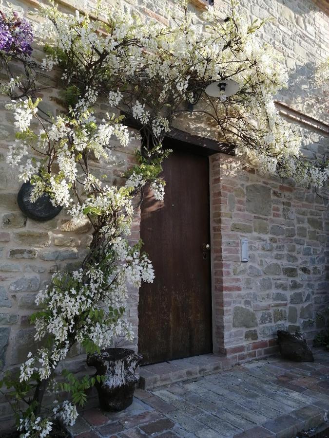 Casale San Martino Agriturismo Bio Sant'Angelo in Pontano Bagian luar foto