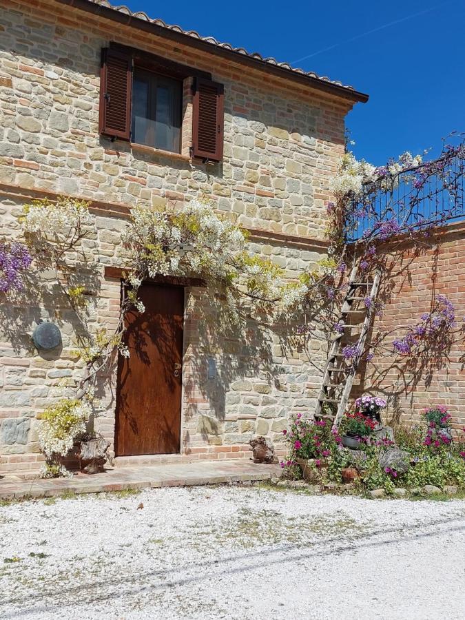 Casale San Martino Agriturismo Bio Sant'Angelo in Pontano Bagian luar foto