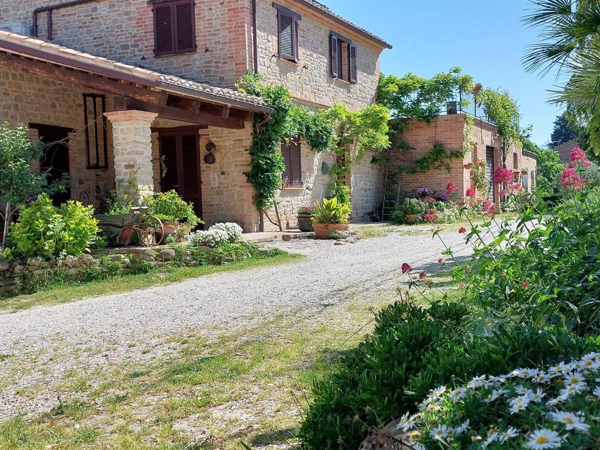 Casale San Martino Agriturismo Bio Sant'Angelo in Pontano Bagian luar foto