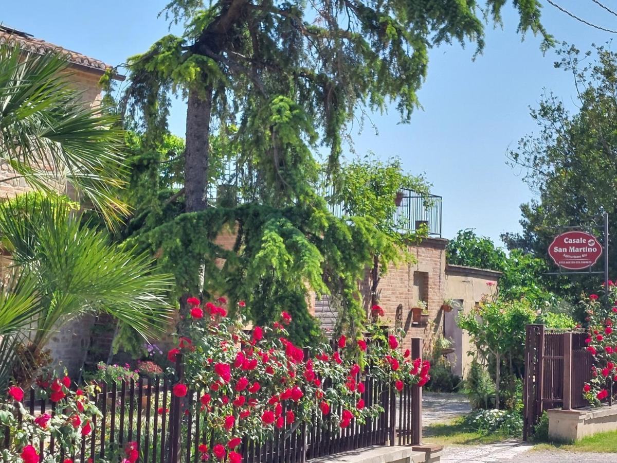 Casale San Martino Agriturismo Bio Sant'Angelo in Pontano Bagian luar foto
