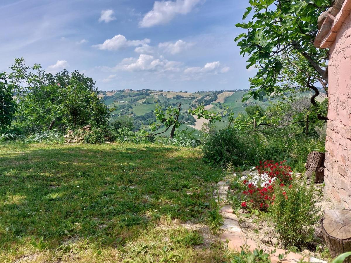 Casale San Martino Agriturismo Bio Sant'Angelo in Pontano Bagian luar foto