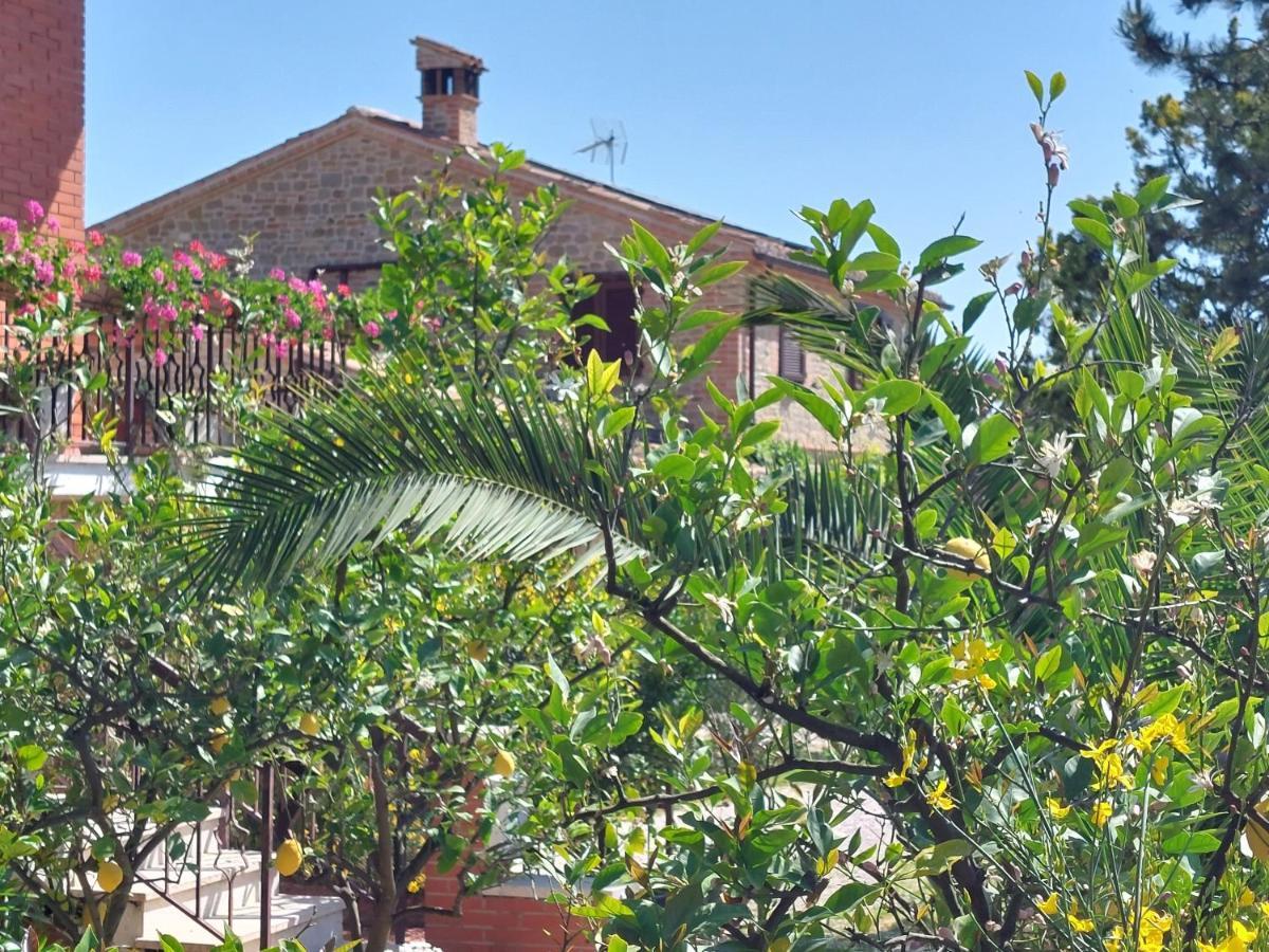 Casale San Martino Agriturismo Bio Sant'Angelo in Pontano Bagian luar foto
