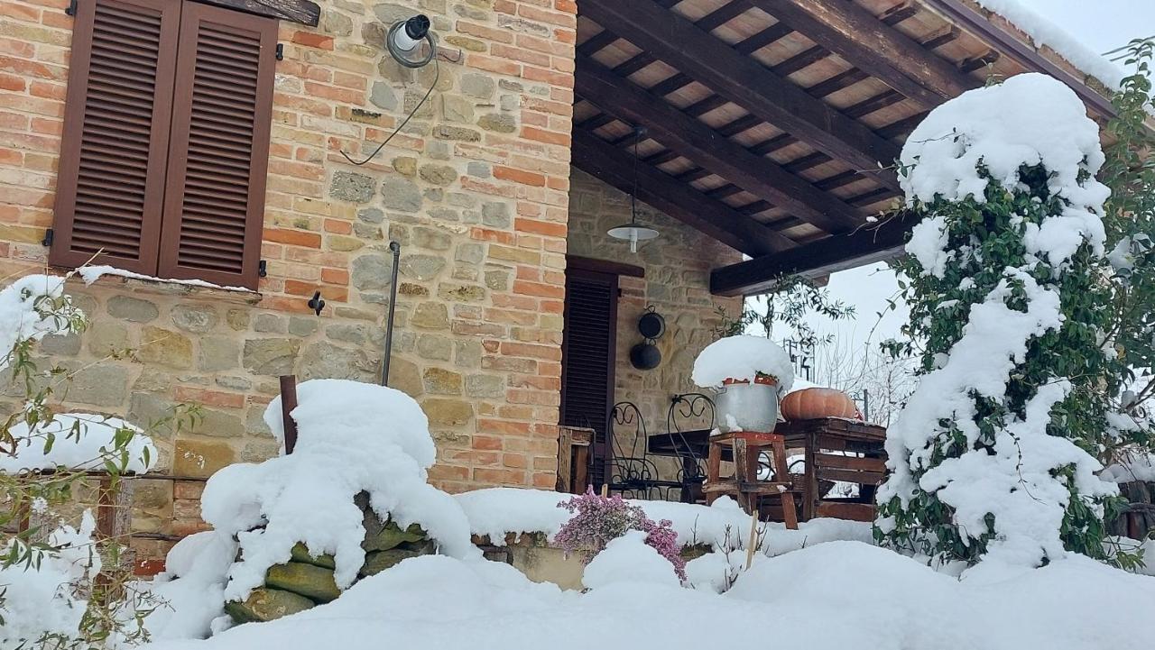 Casale San Martino Agriturismo Bio Sant'Angelo in Pontano Bagian luar foto