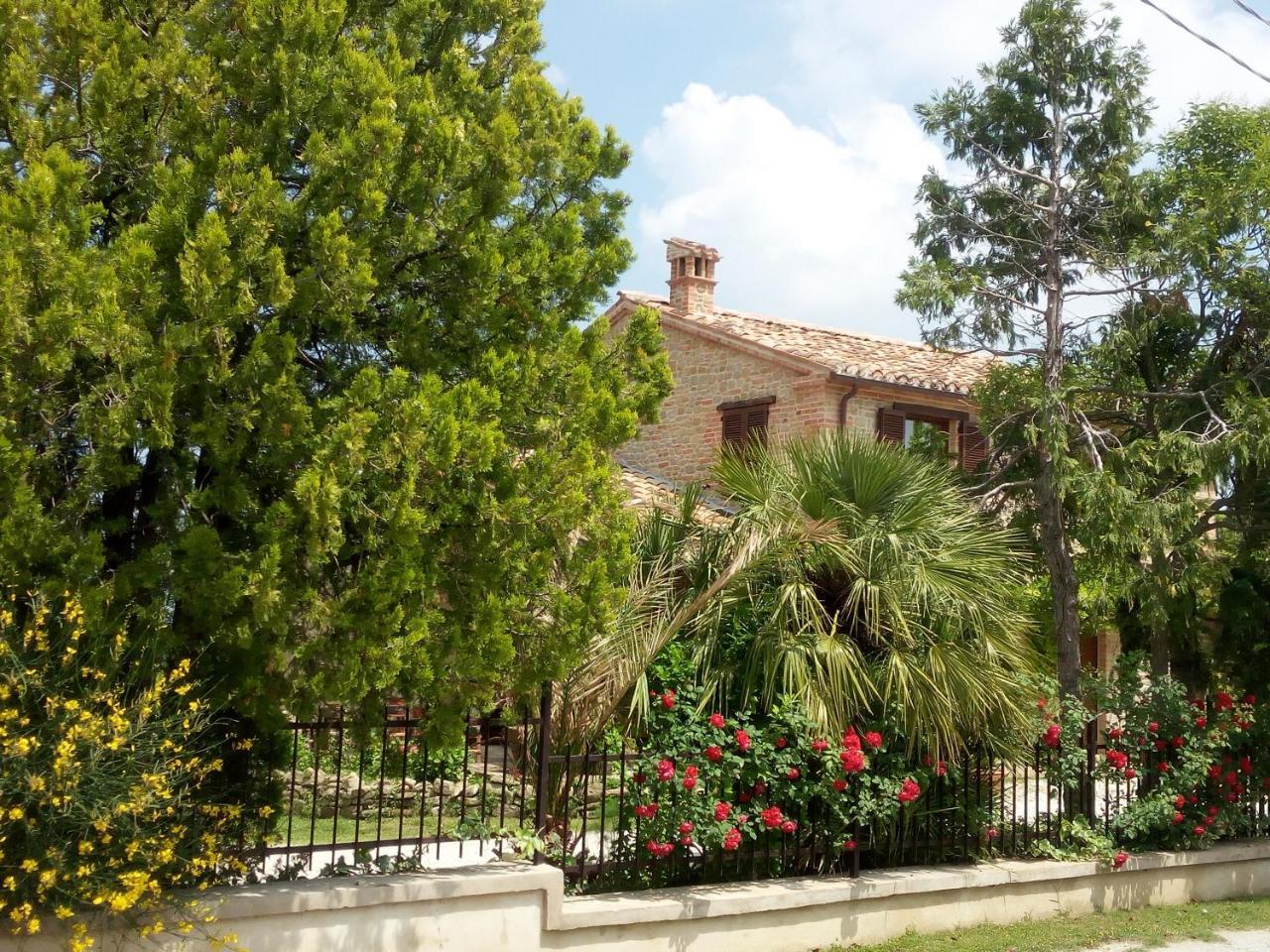 Casale San Martino Agriturismo Bio Sant'Angelo in Pontano Bagian luar foto